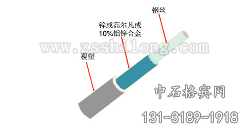 zsshilong31.jpg