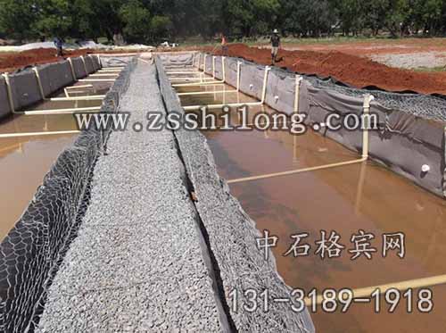 zsshilong14.jpg