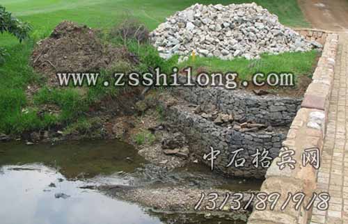 zsshilong09.jpg
