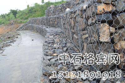 zsshilong42.jpg